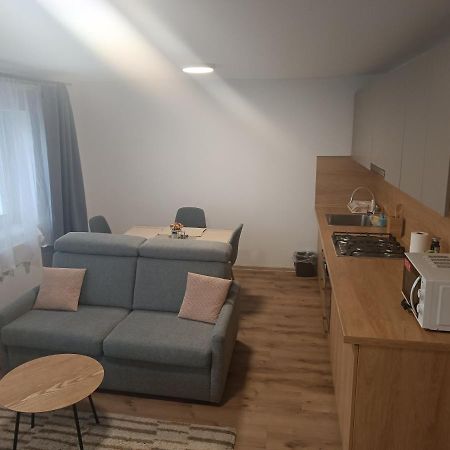 Apartmany Vila Juraj 特伦钦温泉区 外观 照片