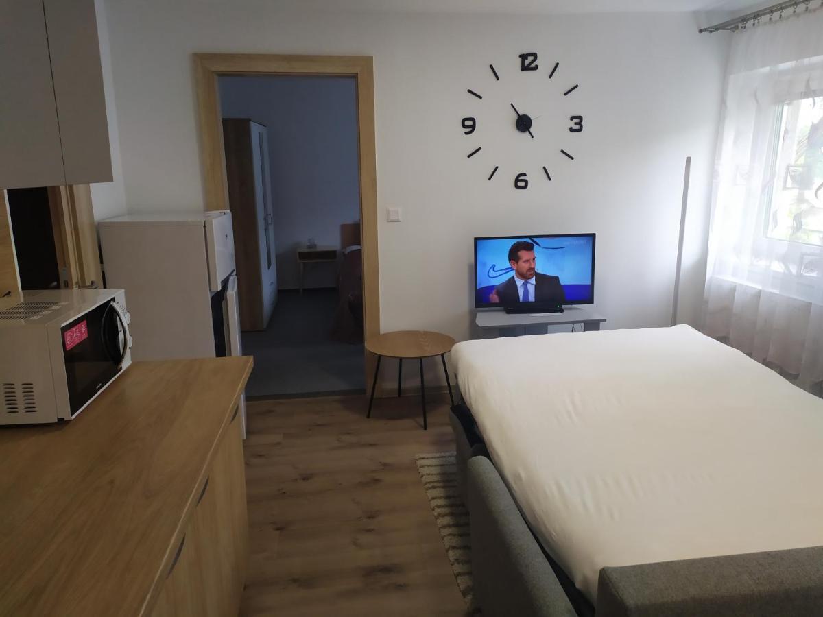 Apartmany Vila Juraj 特伦钦温泉区 外观 照片