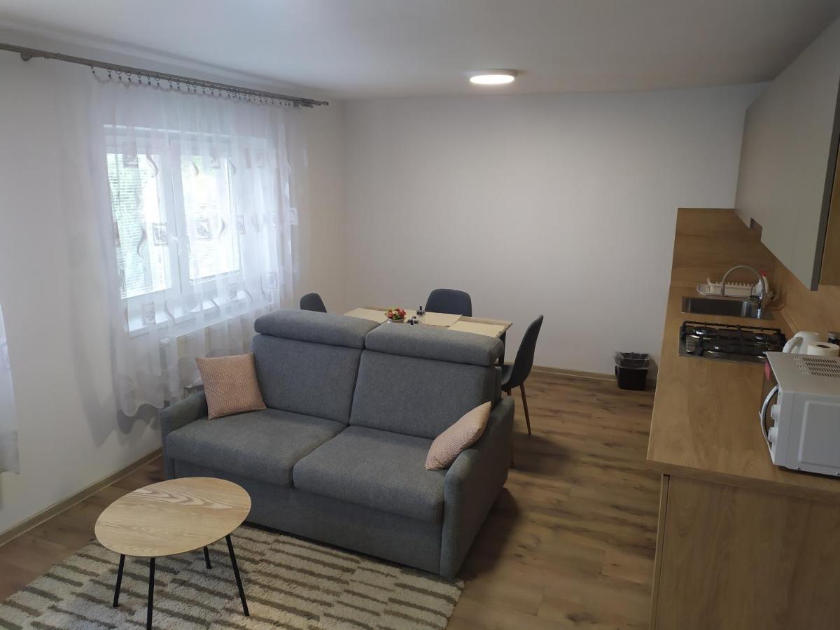 Apartmany Vila Juraj 特伦钦温泉区 外观 照片