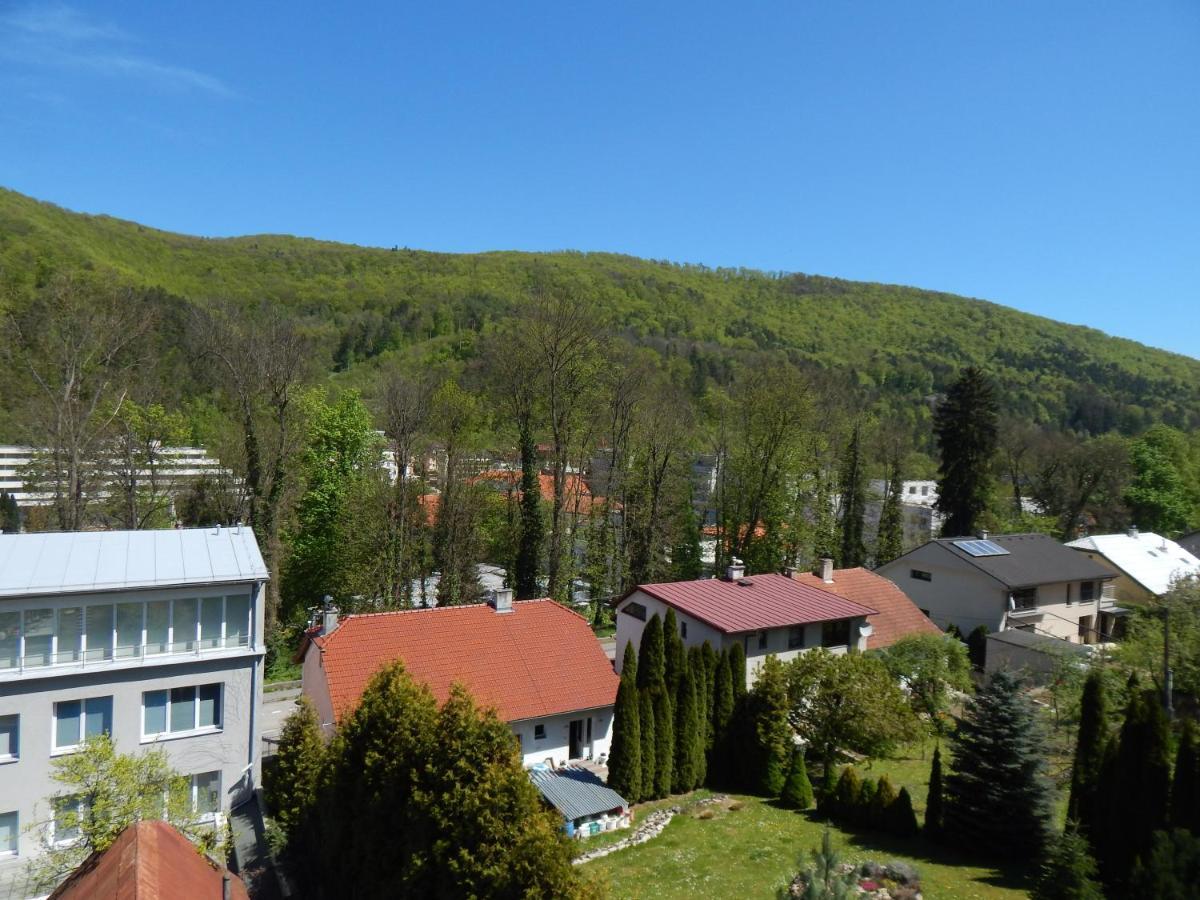 Apartmany Vila Juraj 特伦钦温泉区 外观 照片