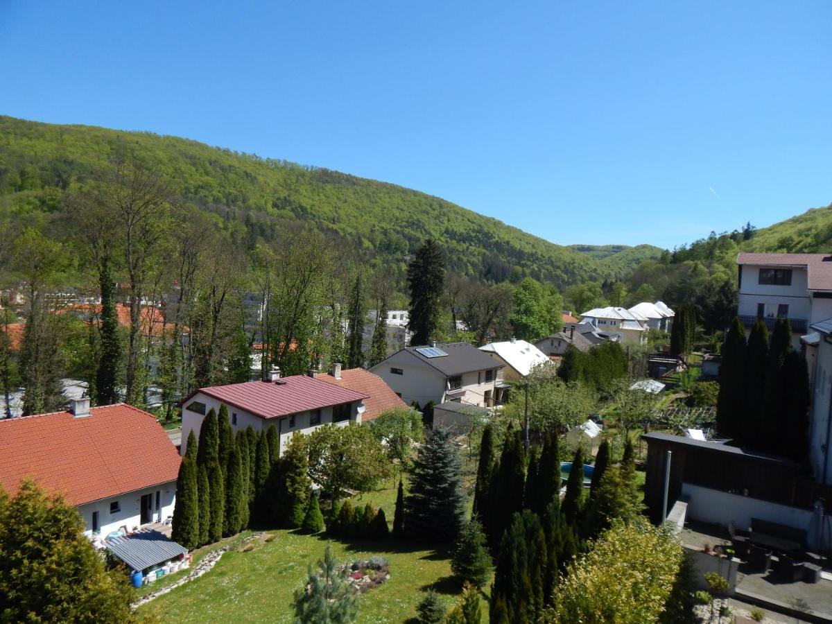 Apartmany Vila Juraj 特伦钦温泉区 外观 照片